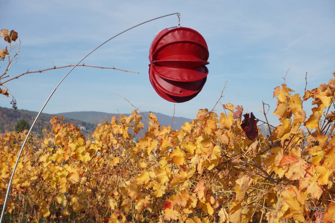 Barlooon wetterfeste Lampion