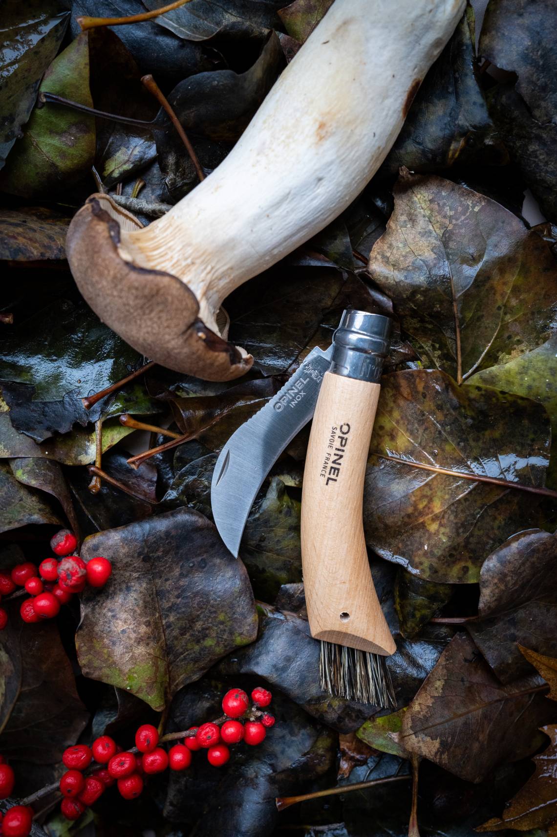 Opinel - Pilzmesser zum Einklappen
