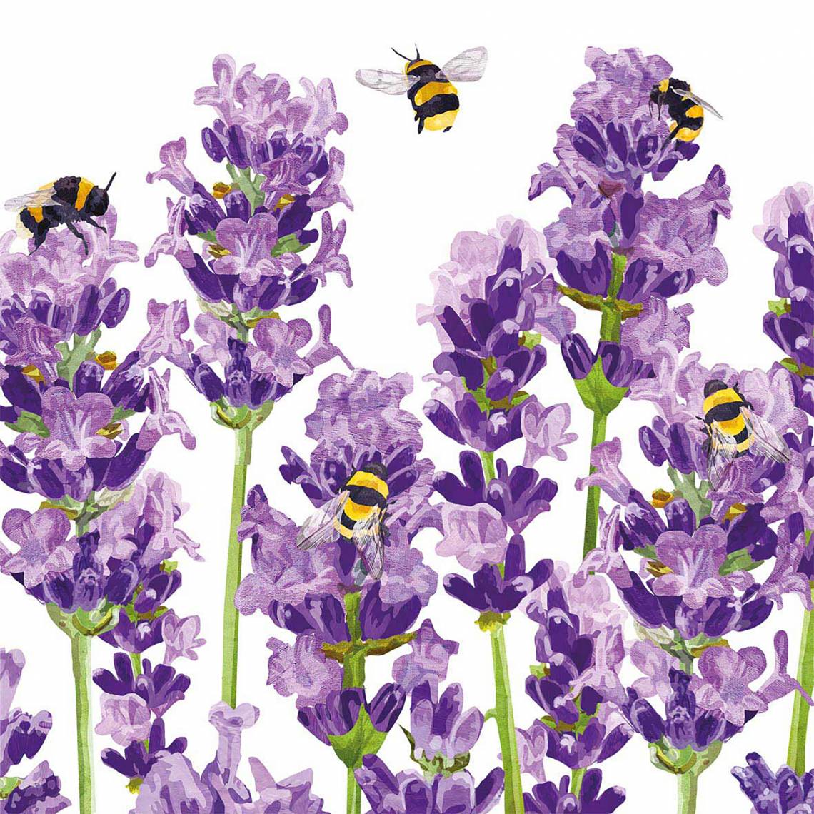 PPD 1333956·Bees&Lavender, Napkin