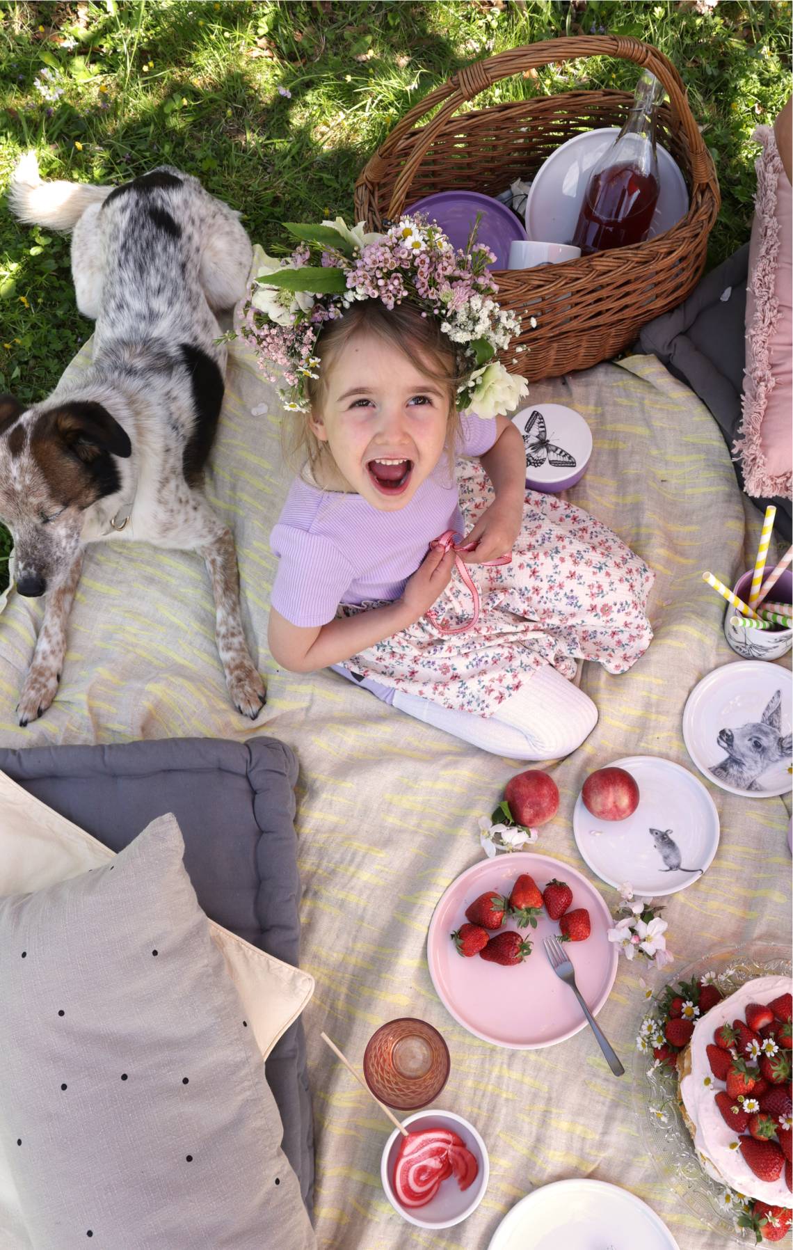 mittelpunkt - Pure Freude, Picknick und Porzellan