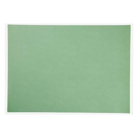 ASA Selection 78319076 Vegan Leather Basil Tischset 