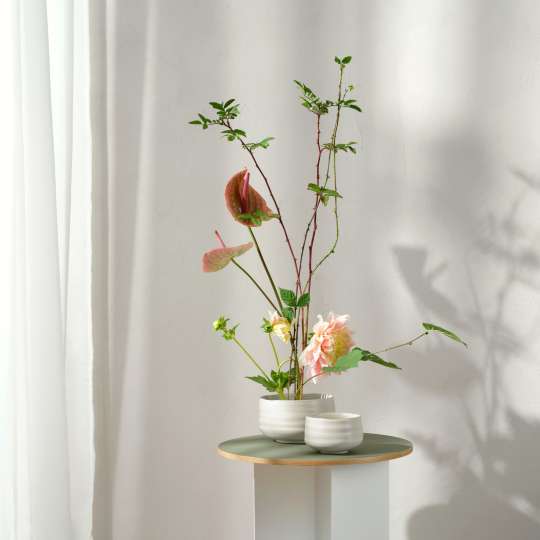 ASA Selection Moribana Schalen