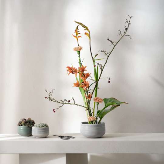 ASA Selection Moribana Schalen