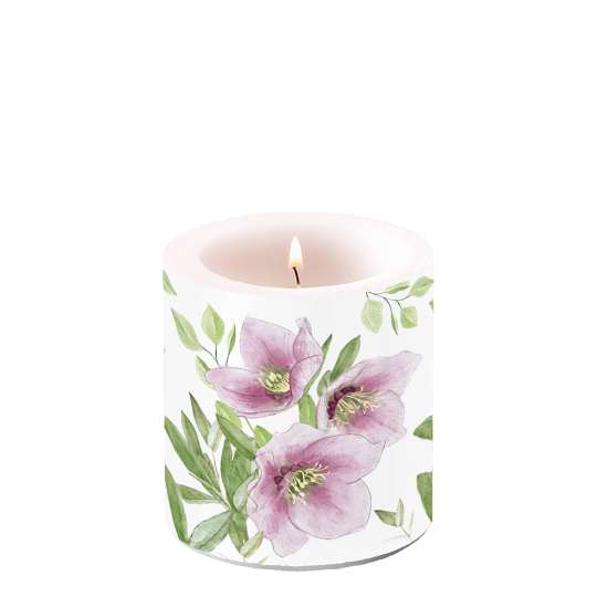 Ambiente - Classic Helleborus Kerze, klein