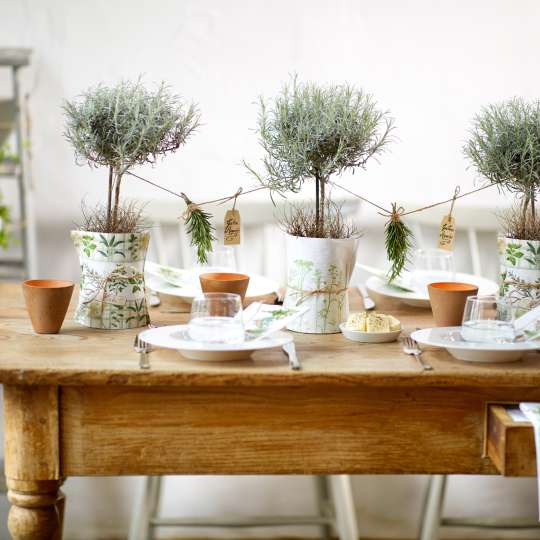 Ambiente - Aromatische Kräuter wohin man sieht: Servietten Herbs