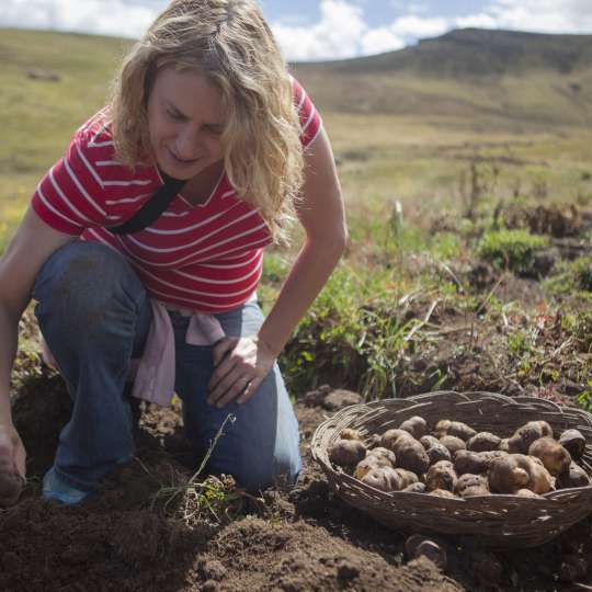 Reisen mit Sinn: Kartoffeln ernten auf einer peruanischen Farm