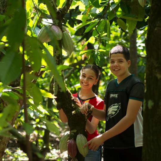 GEPA COOPOAGRO: Adriana und Raul im Kakaobaum