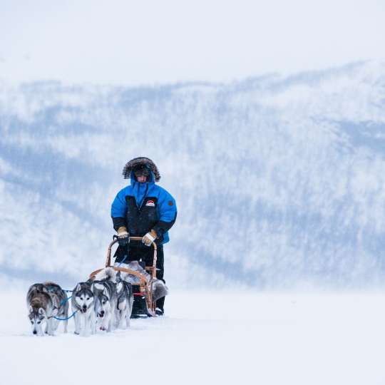 VisitFinland Schneeschlitten mit Hunden