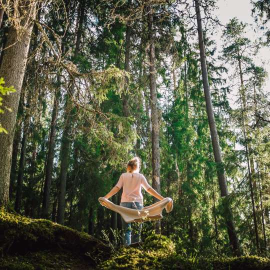 Die Seele beim Waldbaden in lettischen Wäldern baumeln lassen