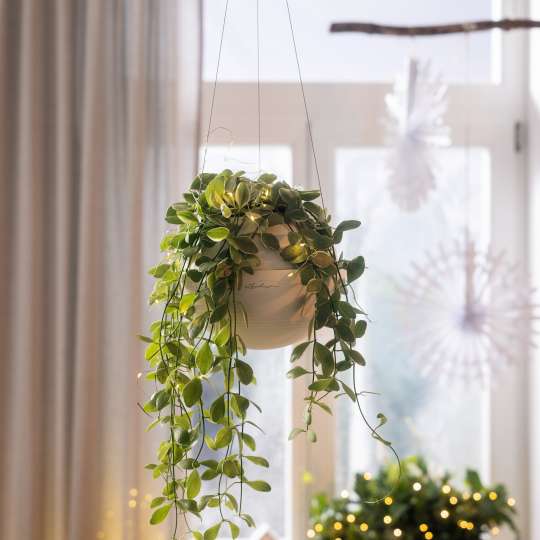 LECHUZA - Sanfte Farben für mehr Gemütlichkeit: Blumenampel BOLA in sandbraun
