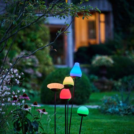 LUMIX - Buntes Bouquet: Solar Flowers Ensemble