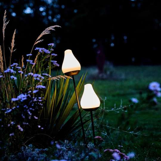 Lumix - Stimmungsvolles Licht bei Nacht: Solar Flowers Tulip