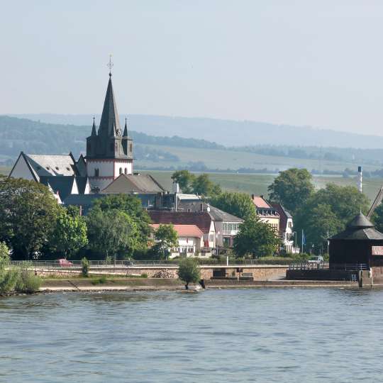 Blick auf die Landschaft von Oestrich-Winkel