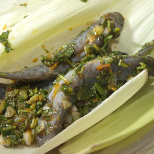 Patarashca-Fischgericht aus Peru