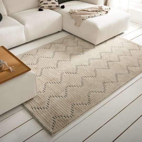 Roomio Teppich No. 8301