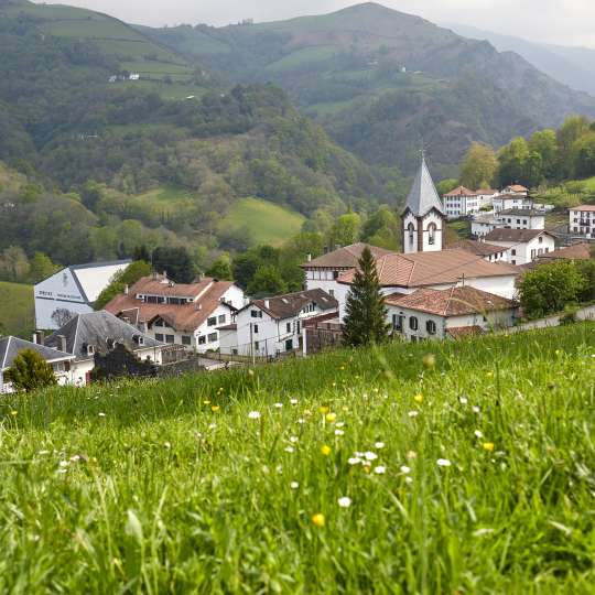 Durch Navarras geschichtsträchtige Orte und über sanfte Hügel pilgern