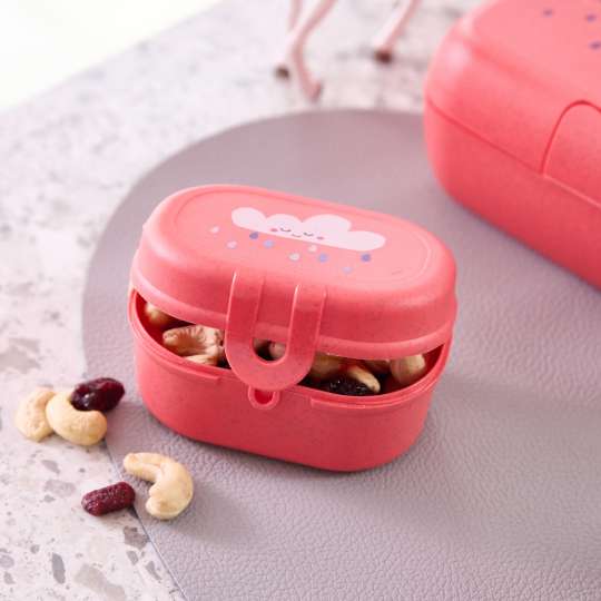 koziol Snackbox PASCAL MINI DREAMS