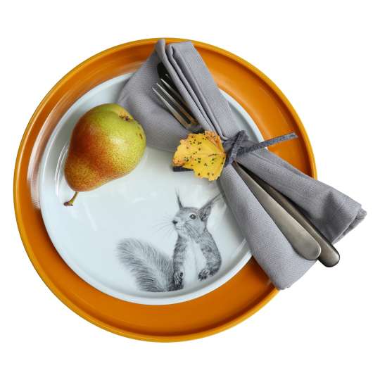 mittelpunkt. teller mit tierdekor & teller in farbe