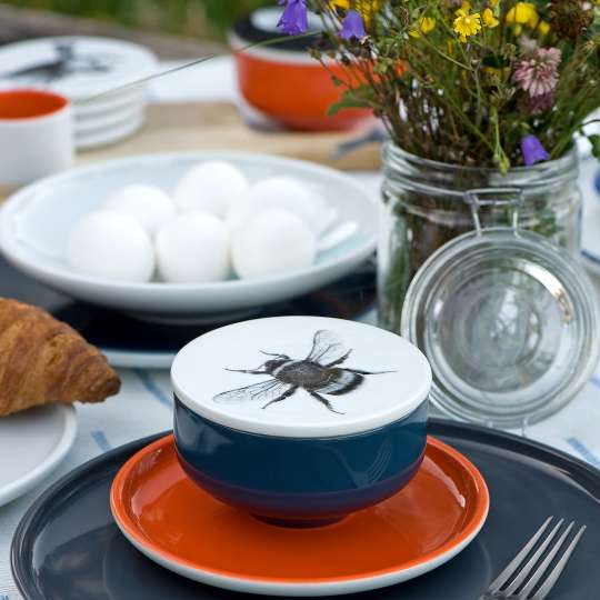 mittelpunkt . Schöner Kontrast: Blaues und orangenes Geschirr mit deckel untersetzer 11 . hummel