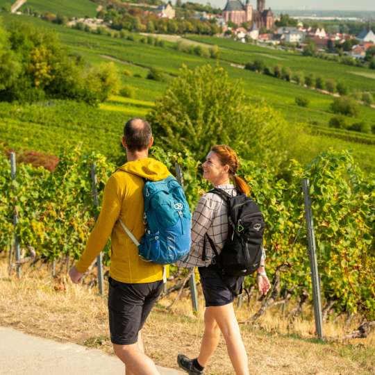 RheinTerrassenWeg - Wandern in der pittoresken Landschaft Oppenheims