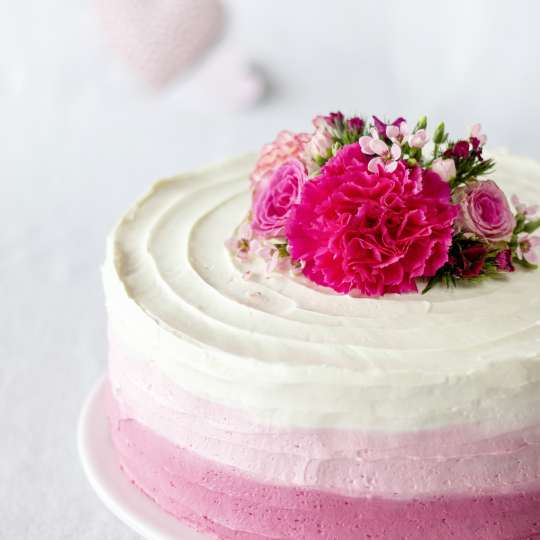 STÄDTER Torte aus der Springform mit Flachboden