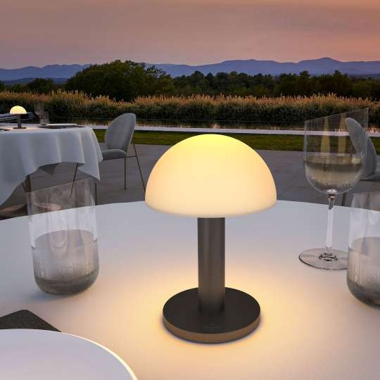 Villeroy & Boch 97077 wetterfeste LED Leuchte Bergamo Graphit, gebürstet 