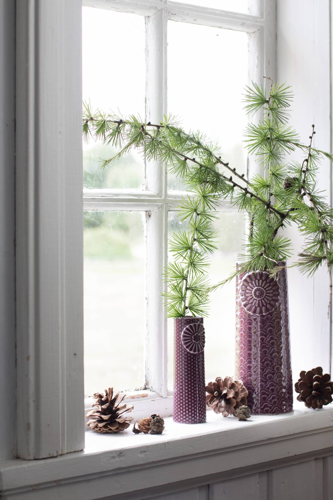 Dottir: PIPANELLA Tanne in Vase vor Fenster