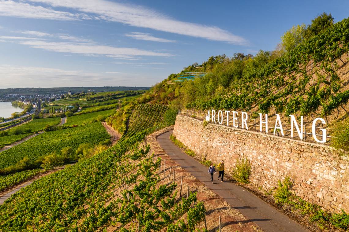 Rhein-Terrassen-Weg - Roter Hang bei Nierstein