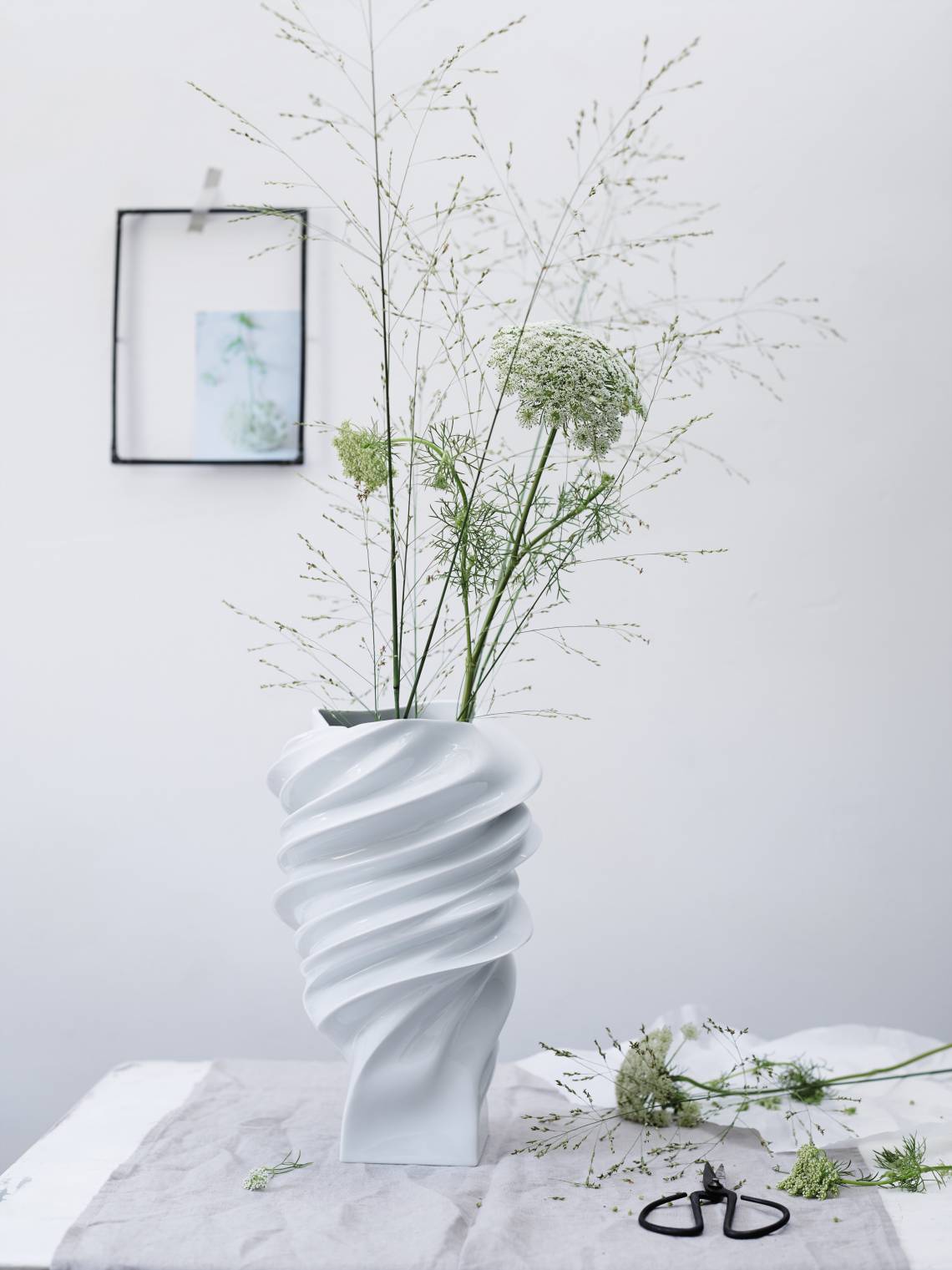 Rosenthal Squall Milieu