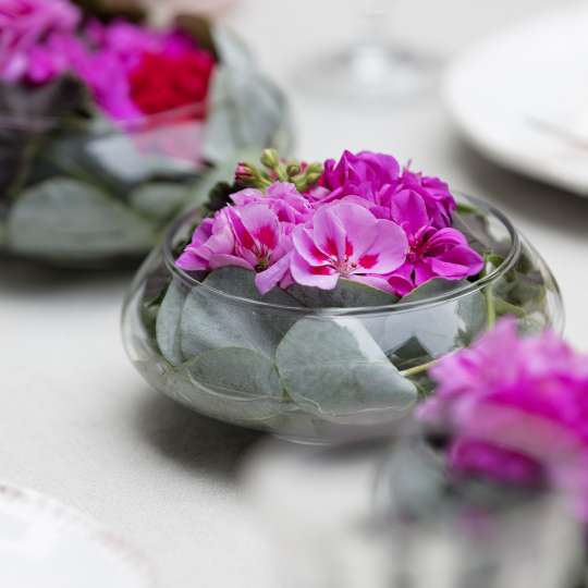 Geraniums Summer Table Decoration