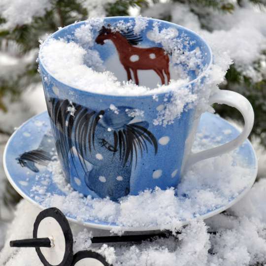 Winter-Tasse Mustang