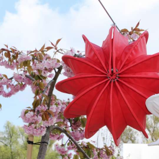 Zeit für Frühling bei barlooon - Outdoor-Lampion rot S, Mood 1