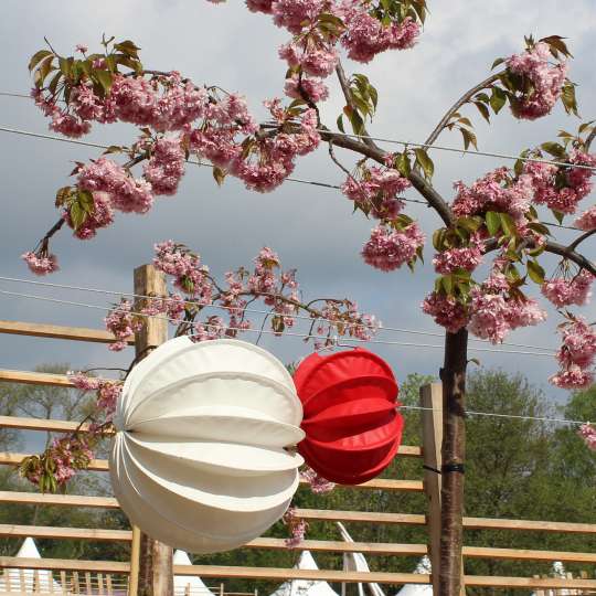 Zeit für Frühling bei barlooon - Outdoor-Lampion weiss M und rot S, Mood 1