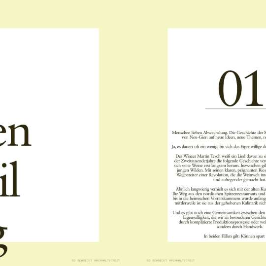 Blick ins Buch - eigenwillig 01 