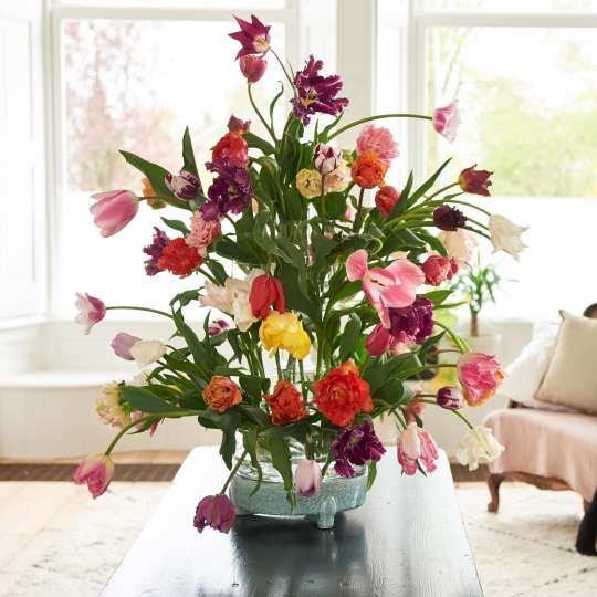 Imposantes Bouquet aus Tulpen