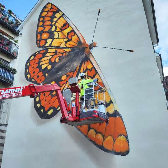 Streetart-Künstler MANTRA gestaltet die Wand in Heidelberg, Uferstraße 5,  Foto Steffen Schmid