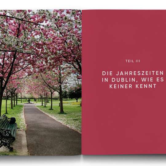 Auszug aus DUBLIN - Wie es keiner kennt: Jahreszeiten © Midas Verlag AG 