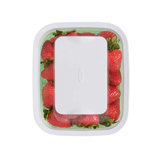 OXO GreenSaver Frischhaltebox 1,5 L Erdbeeren 