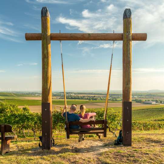 Wingertschaukel - Welgesheim - (c)Dominick Ketz