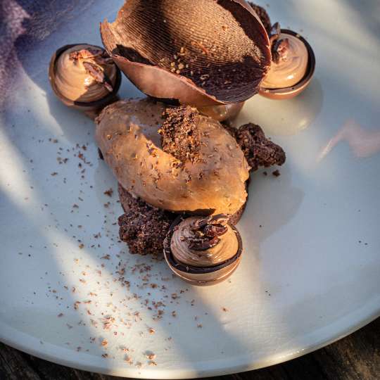Die intensive Schokolade Sierra Leone-Schokolade 70% von Maison Duplanteur, Chocolatier et Couverturier Grasse (c) JÉRÉMIE GRESSIER / Terre Blanche Hotel Spa Golf Resort*****