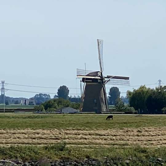 Unterwegs auf der „Oude Maas“
