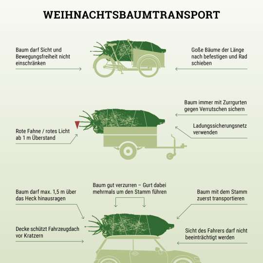 Weihnachtsbaum richtig mobil transportieren