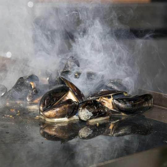 Miesmuscheln auf der Grillplatte Plancha