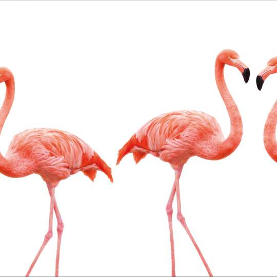 mySPOTTO pop-Motiv Lovely Flamingo