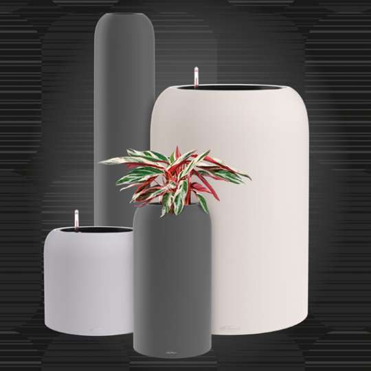 LECHUZA HAVALO - Pflanzgefäße und Vase