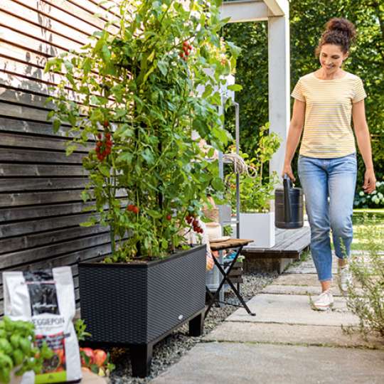 Ab in den Garten