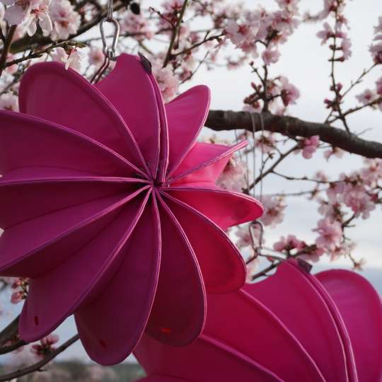 Mit frischen neuen Farben begrüßen wir den Frühling 