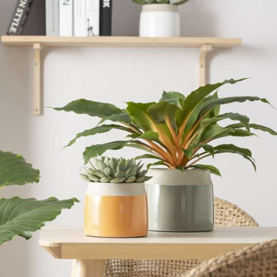 Jarro Naranja und Verde