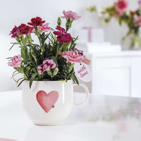 Tasse mit Herz