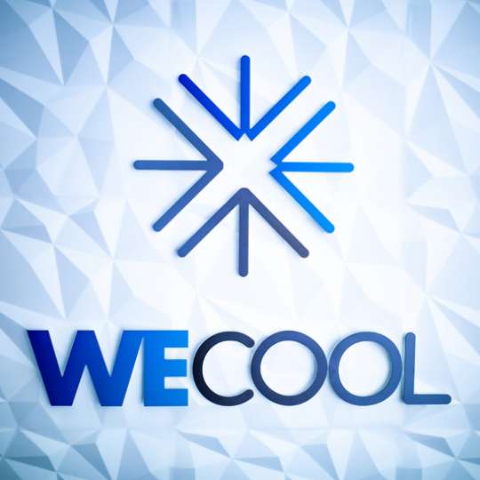 Wecool -Logo
